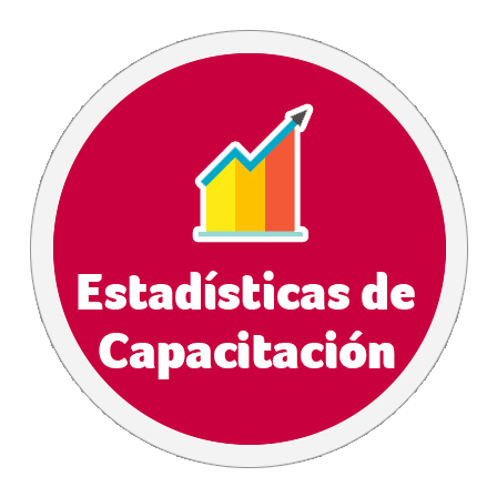 Estadisticas Capacitacion